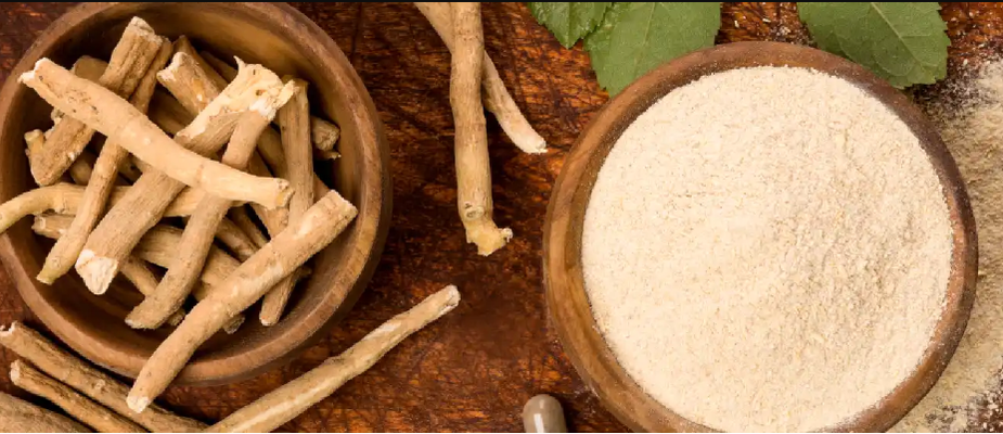 Ashwagandha: Conheça o suplemento do momento Ashwagandha: Conheça o suplemento do momento